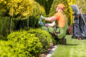 Gärtner kniend bei der Gartenpflege