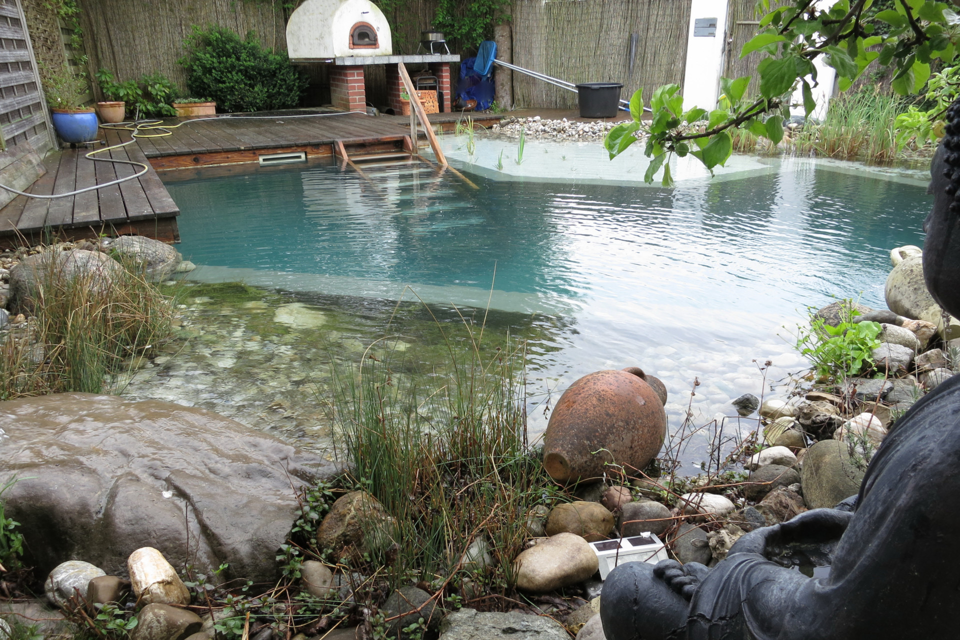Schwimmteich bauen Schweiz Kosten, Anlegen und Infos